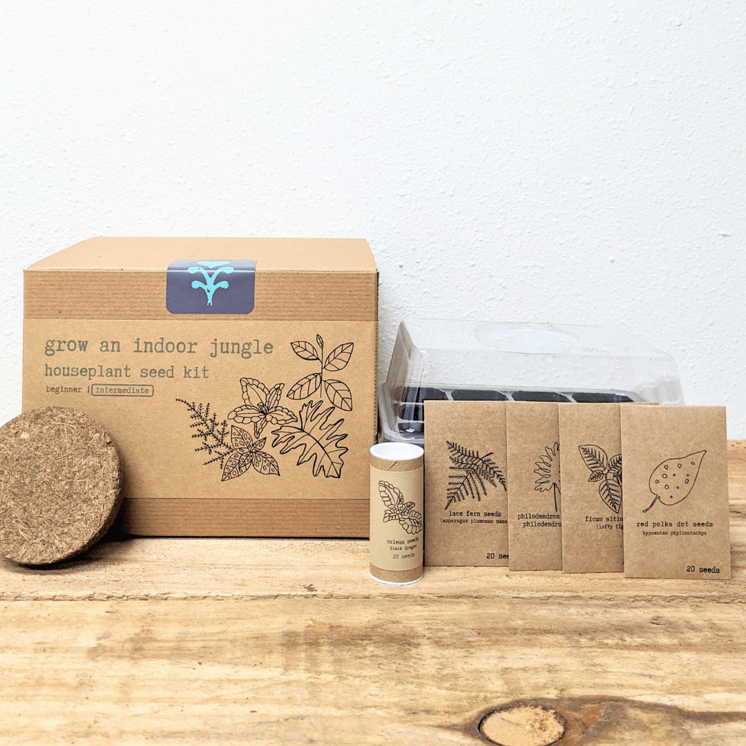"Grow an Indoor Jungle" Houseplant Seed Kit, view 7