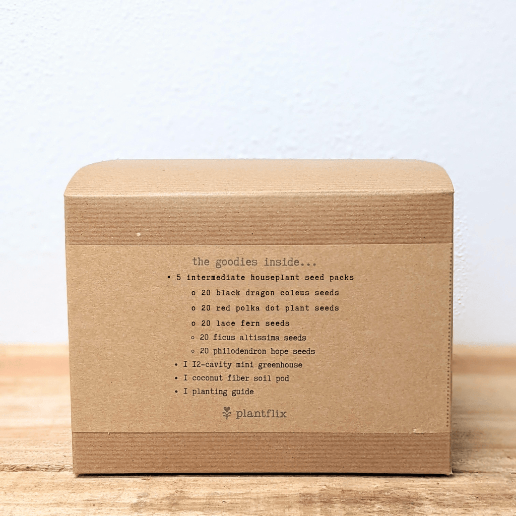 "Grow an Indoor Jungle" Houseplant Seed Kit, view 9