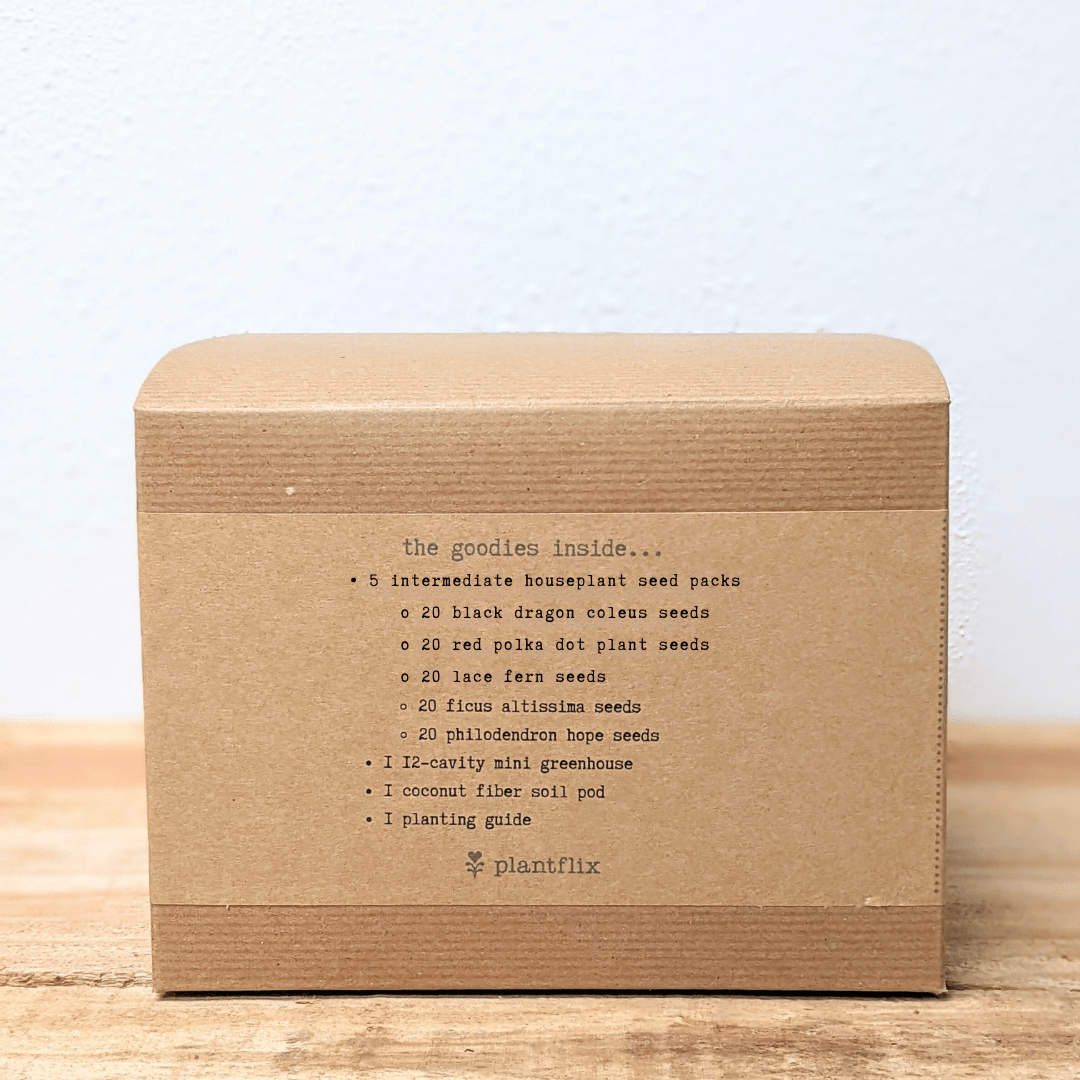"Grow an Indoor Jungle" Houseplant Seed Kit, view 9
