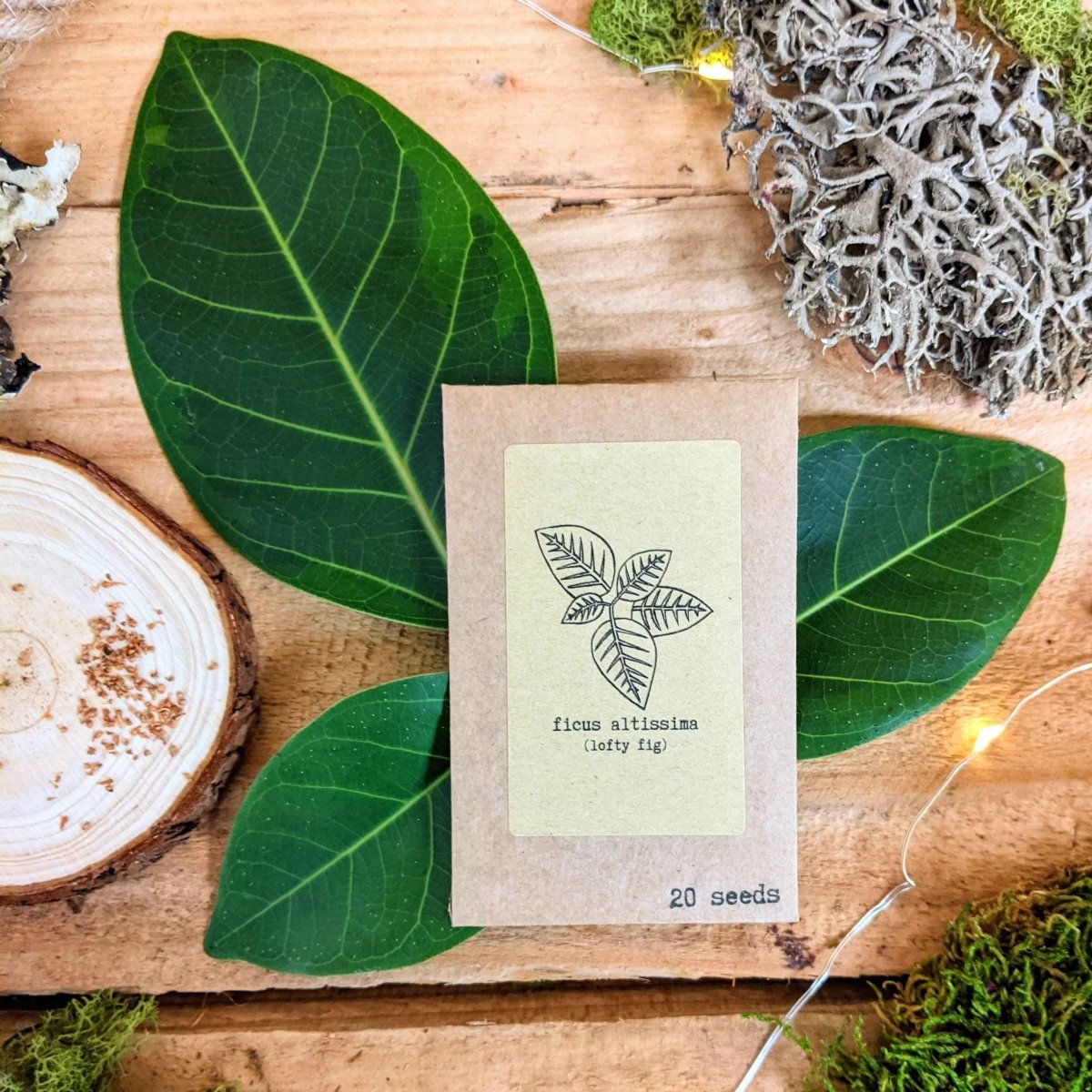 "Grow your own Jungle" Houseplant Seed Collection, view 3