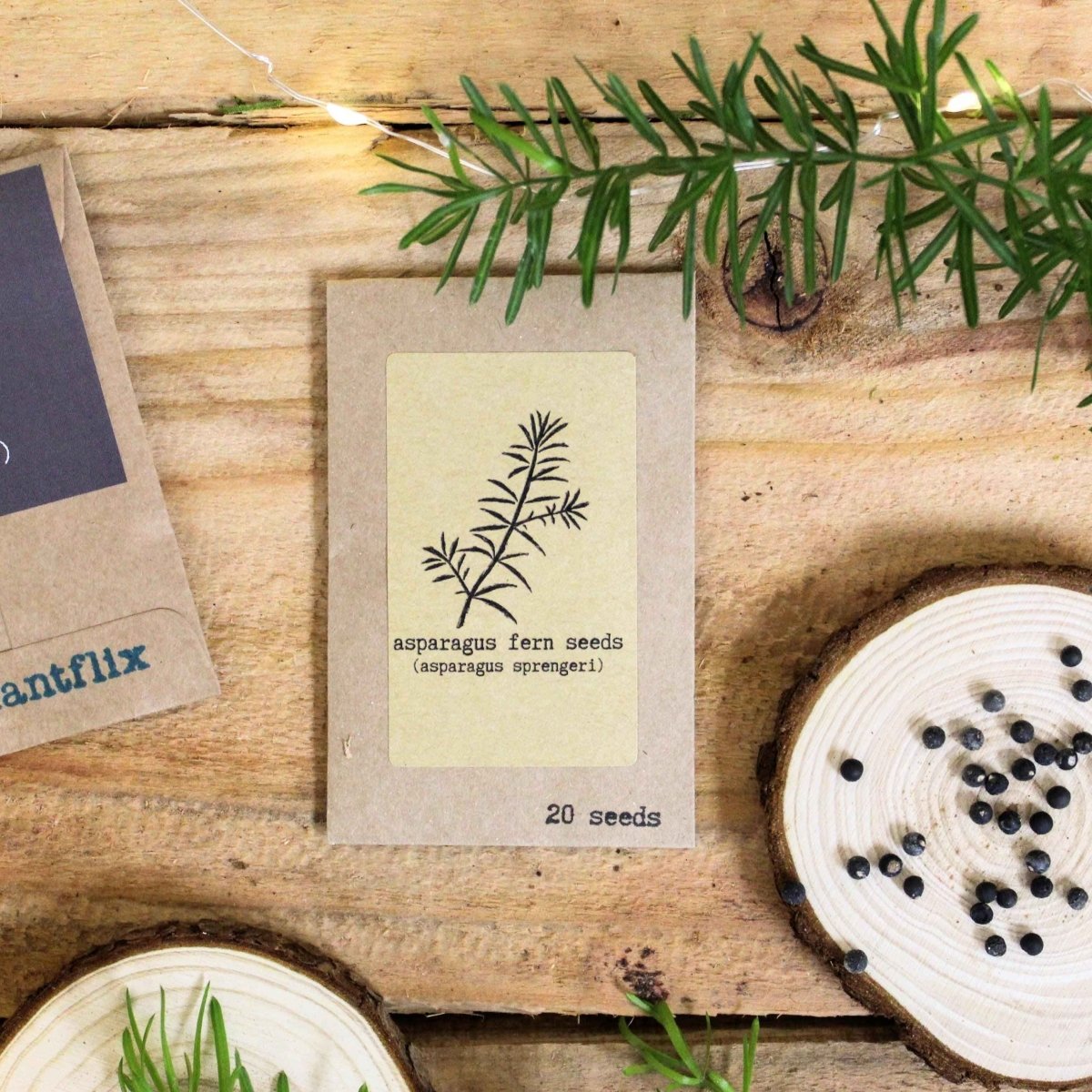 "Grow your own Jungle" Houseplant Seed Collection, view 6