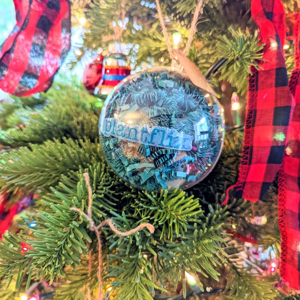 Holiday Seed Ornament, view 2
