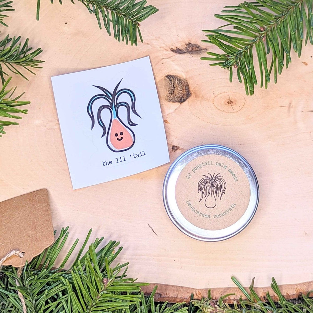 Holiday Seed Ornament, view 4