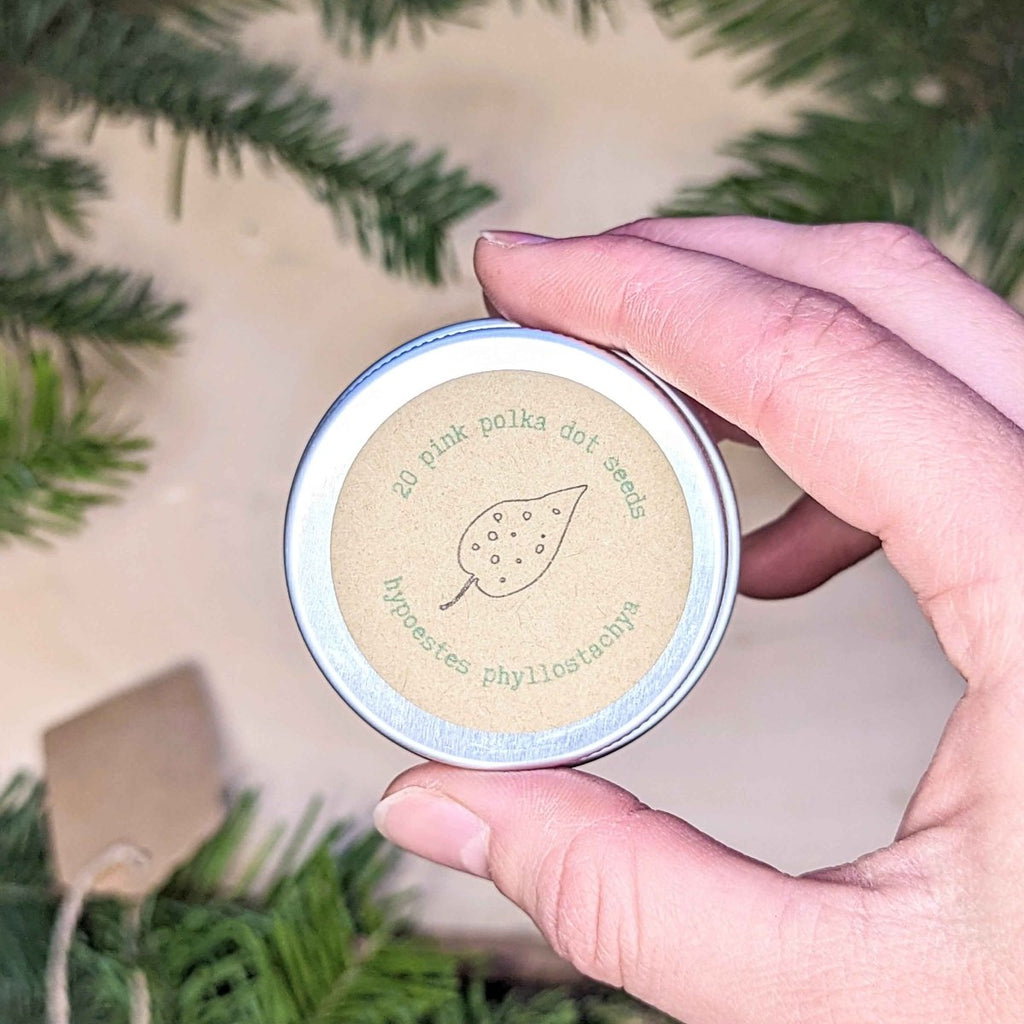 Holiday Seed Ornament, view 9