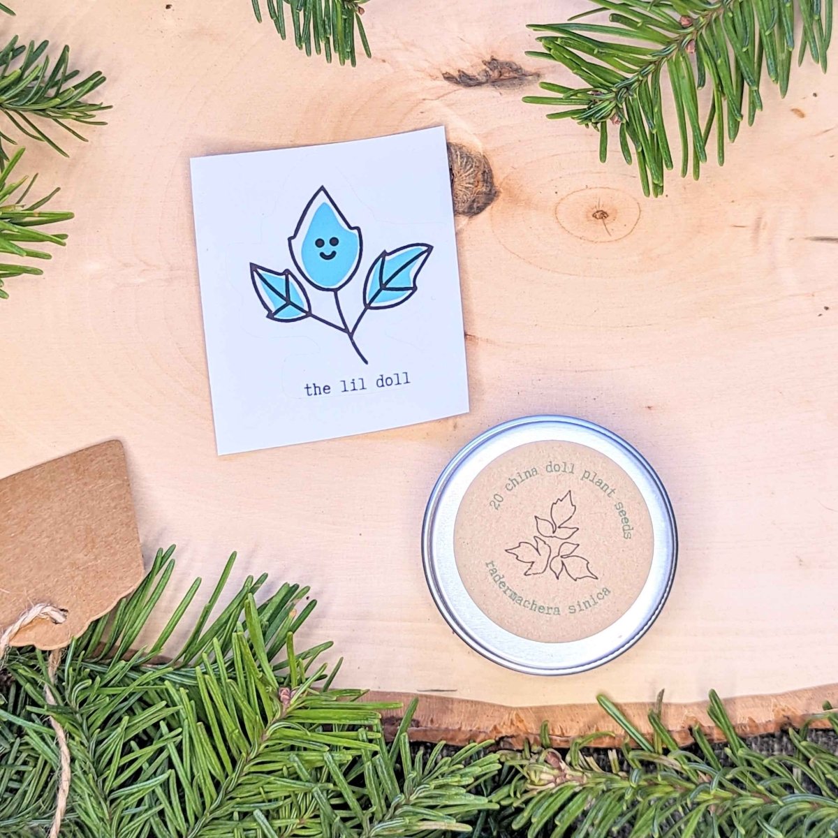Holiday Seed Ornament, view 5