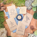 "Houseplant Adventurer" Houseplant Seed Collection