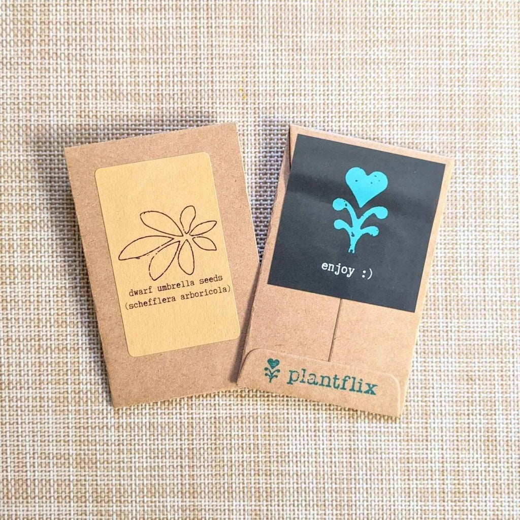 "Houseplant Buff" Houseplant Seed Collection, view 3