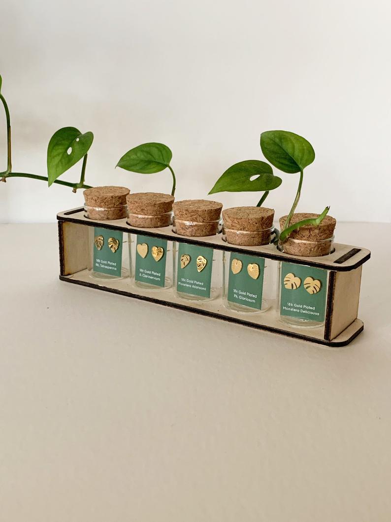Custom Etched Propagation Stand + 3 Set Tiny Houseplant Earring Studs, view 11