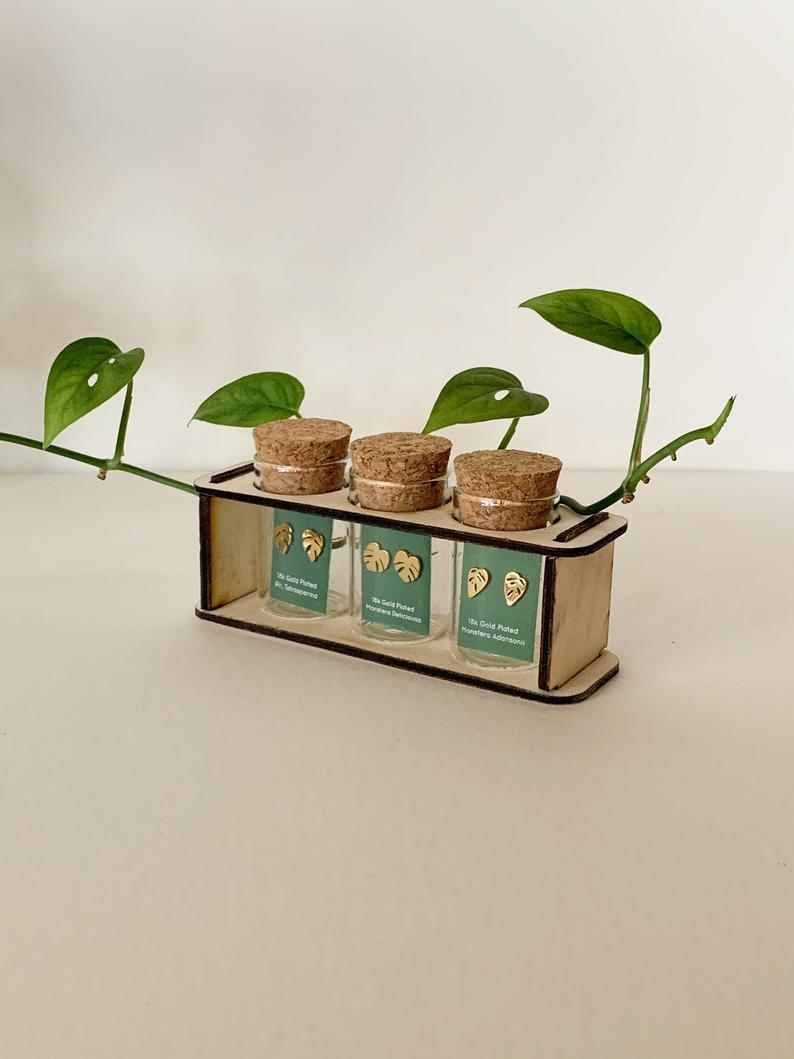 Custom Etched Propagation Stand + 3 Set Tiny Houseplant Earring Studs, view 10