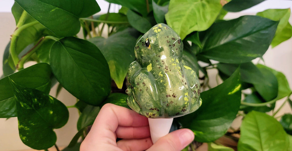 Open-Mouth Frog Plant Watering Spike, view 3