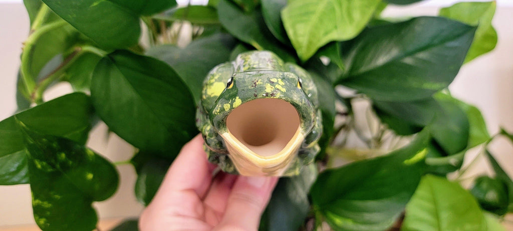 Open-Mouth Frog Plant Watering Spike, view 4