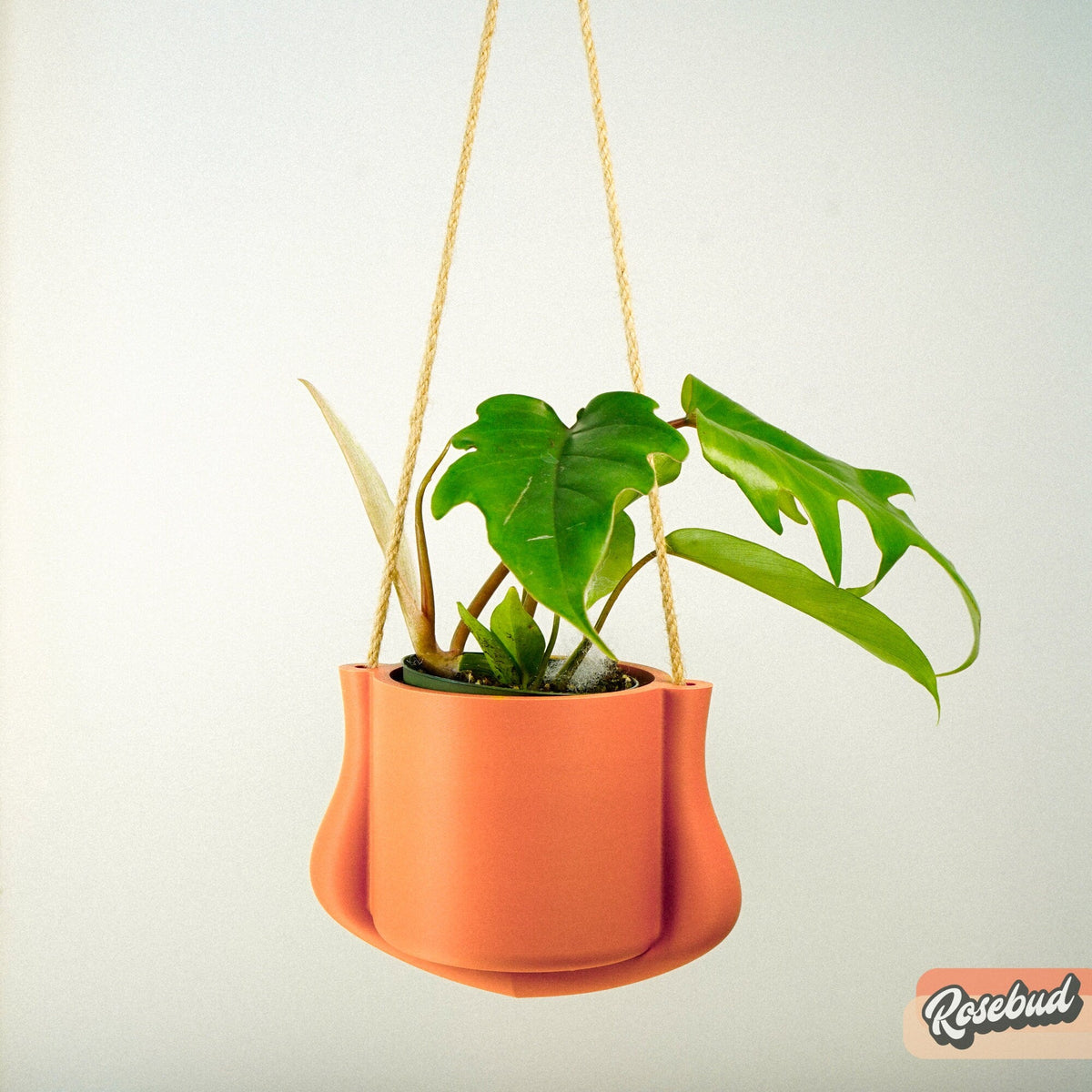 Hanging Planter - The Elysian, view 8
