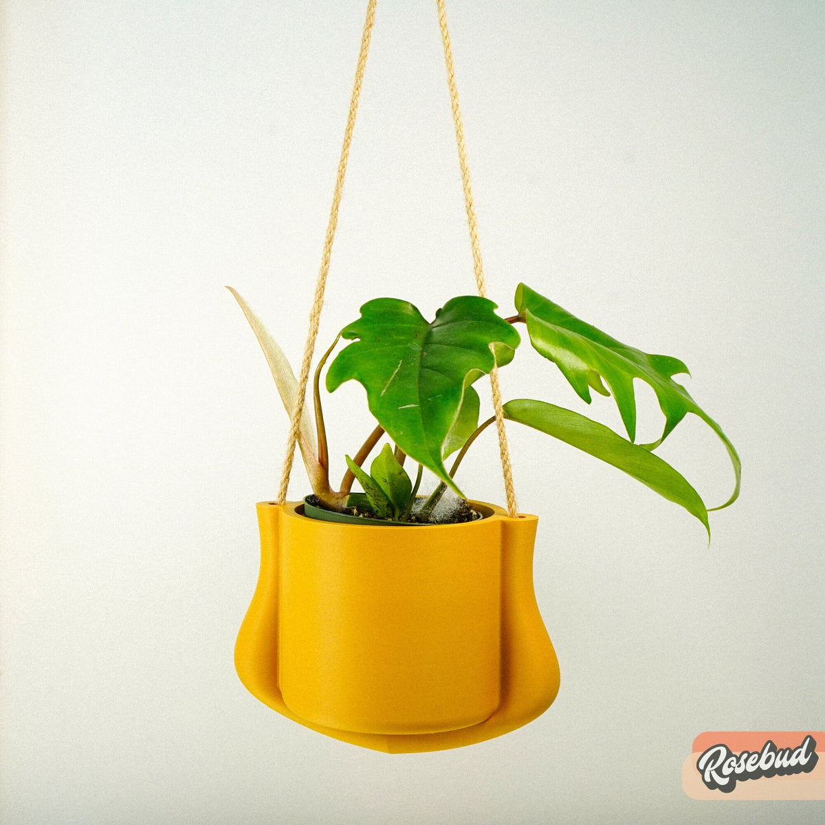 Hanging Planter - The Elysian, view 9
