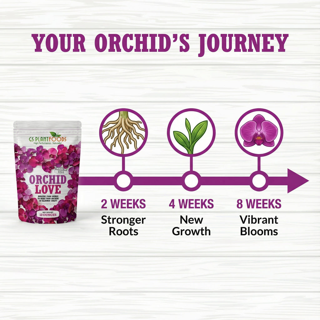 Orchid Love- The World's Greatest Orchid Food!, view 12