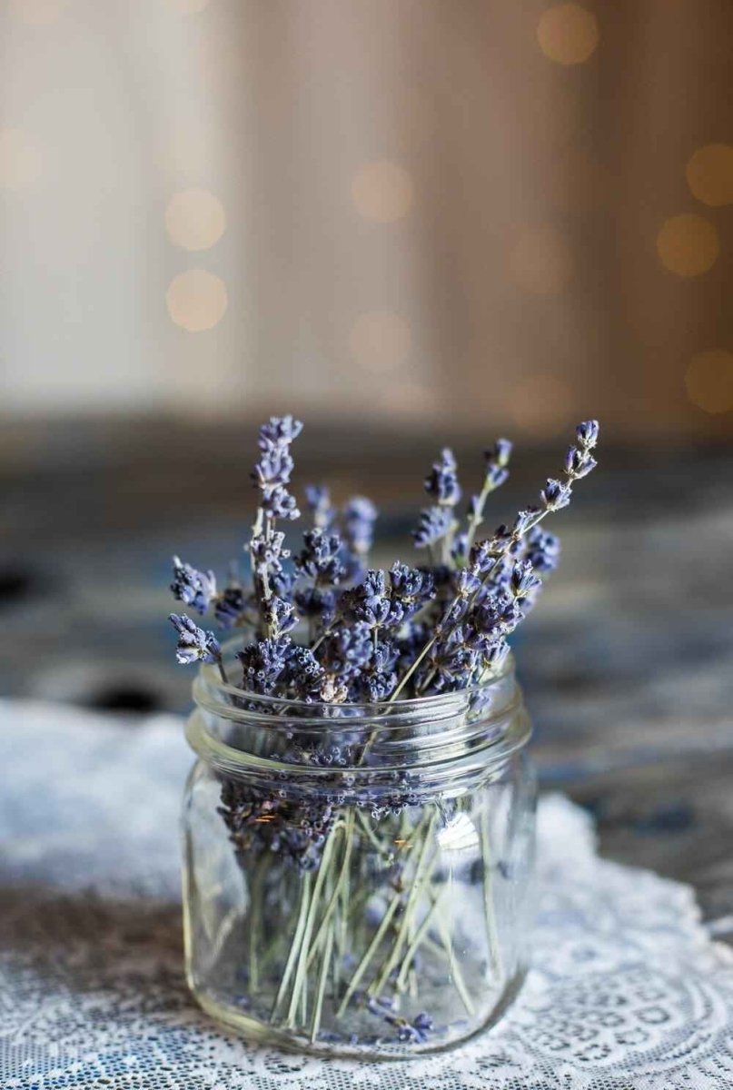 Lavender Seeds, view 4