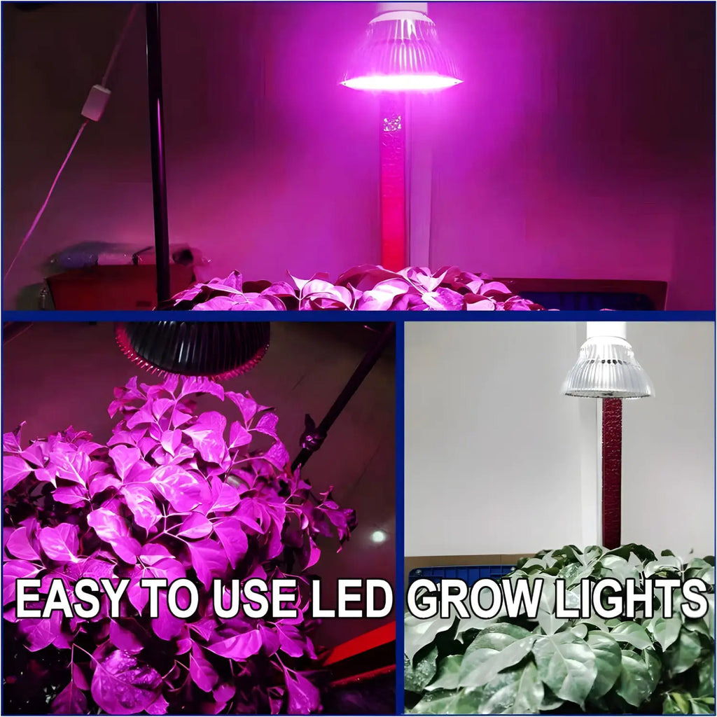 LED Full Spectrum Light for Herb Plants USB Powered, view 2