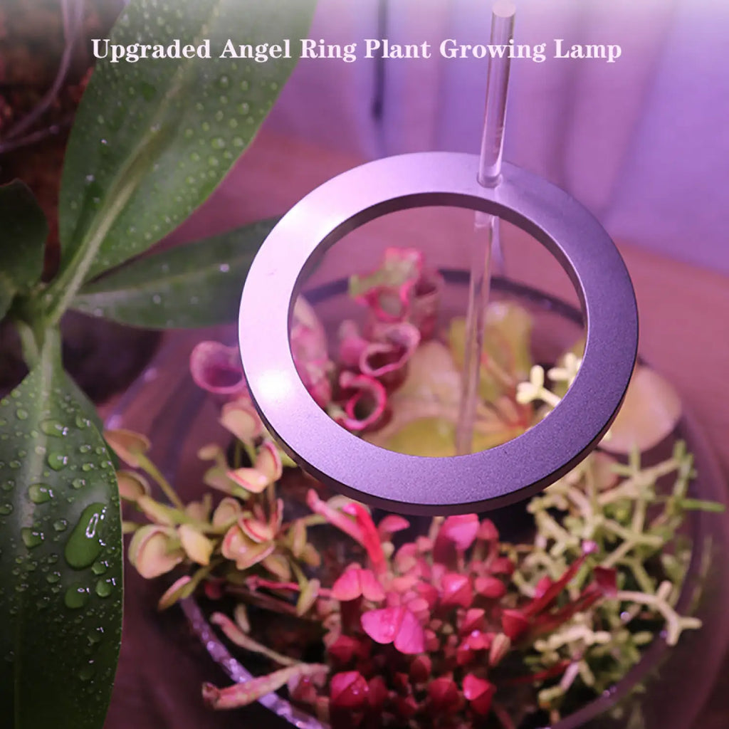 LED Grow Light Full Spectrum Angel Ring USB Lamp for Indoor Plants, view 5