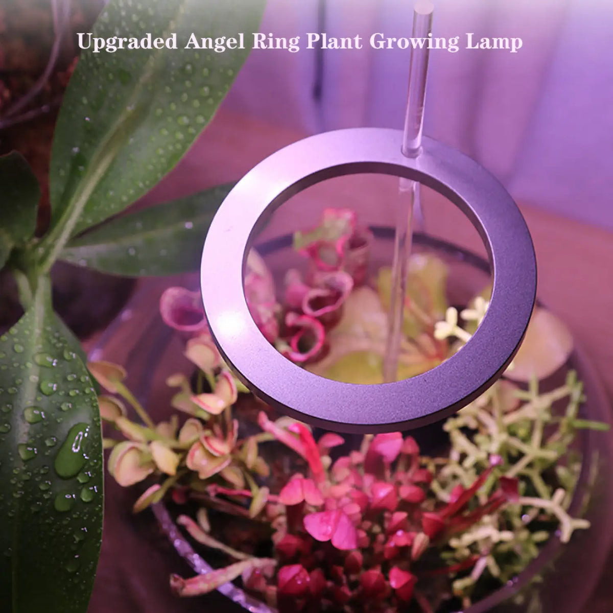 LED Grow Light Full Spectrum Angel Ring USB Lamp for Indoor Plants, view 5