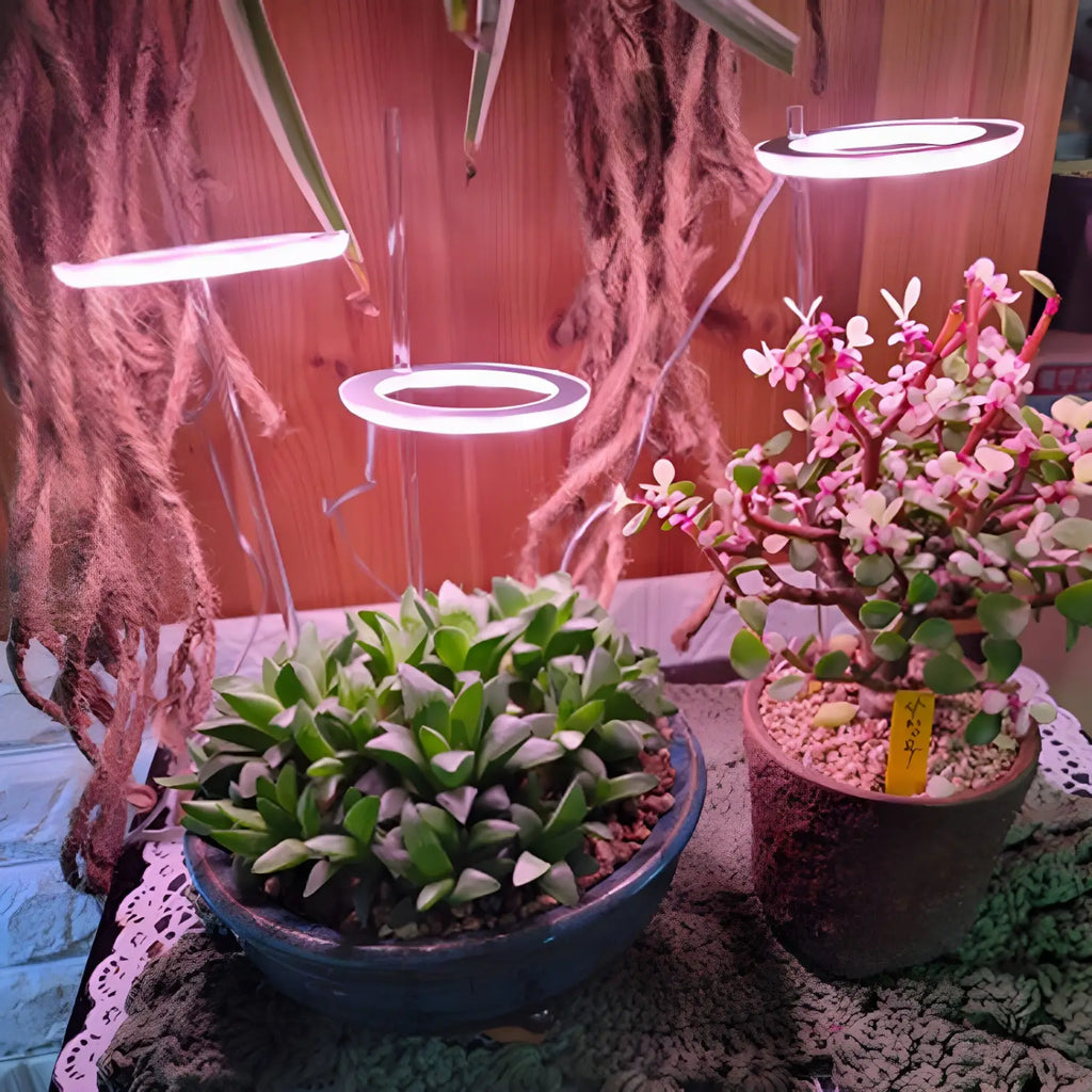 LED Grow Light Full Spectrum Angel Ring USB Lamp for Indoor Plants, view 4
