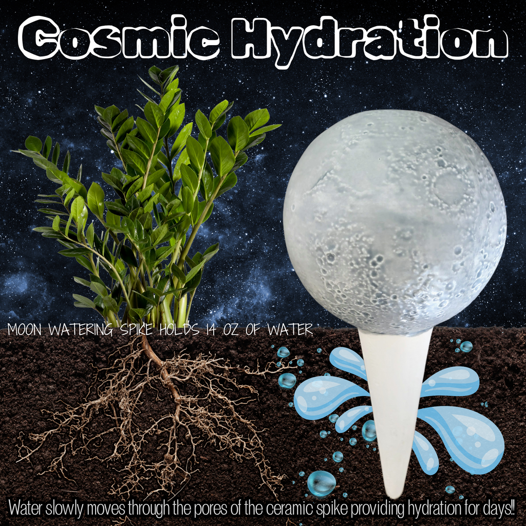 Moon Plant Watering Spike, view 8