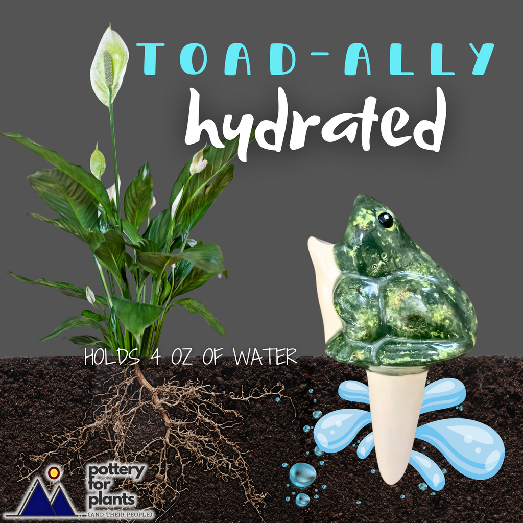 Open-Mouth Frog Plant Watering Spike, view 8