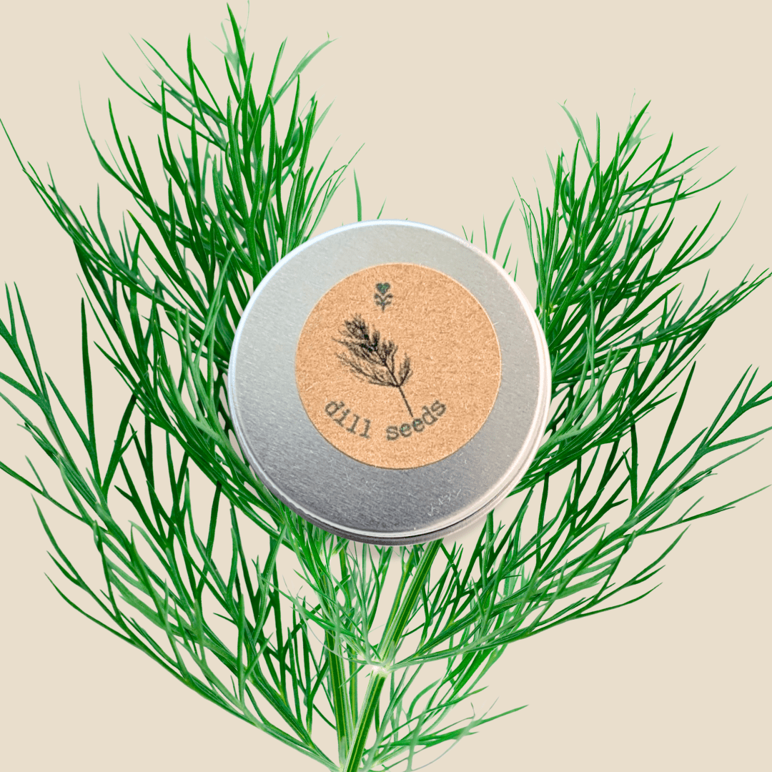 Organic Dill Seeds