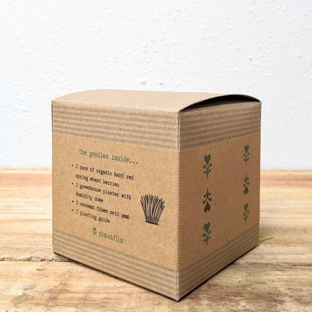 Organic Petgrass Grow Kit, view 4