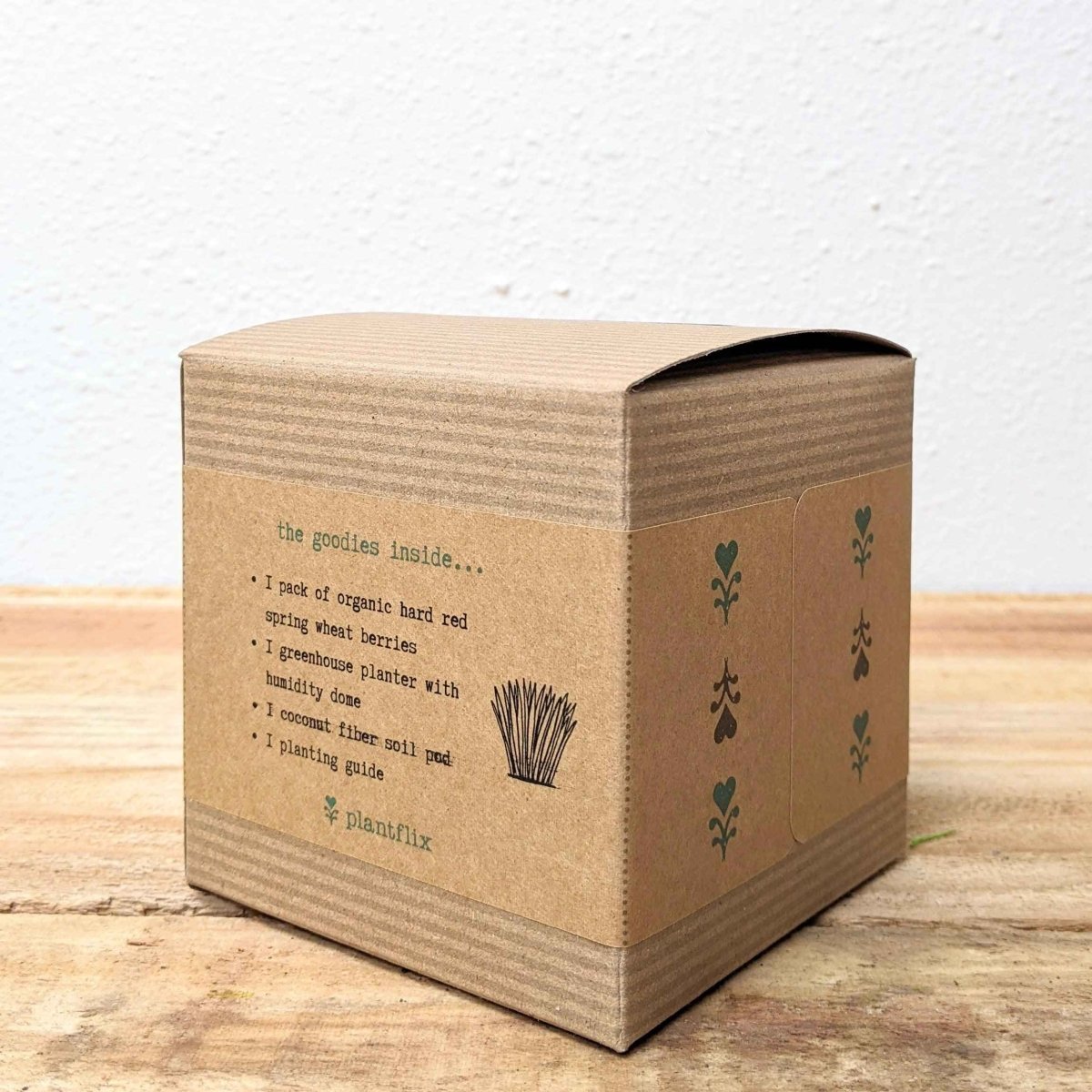 Organic Petgrass Grow Kit, view 4