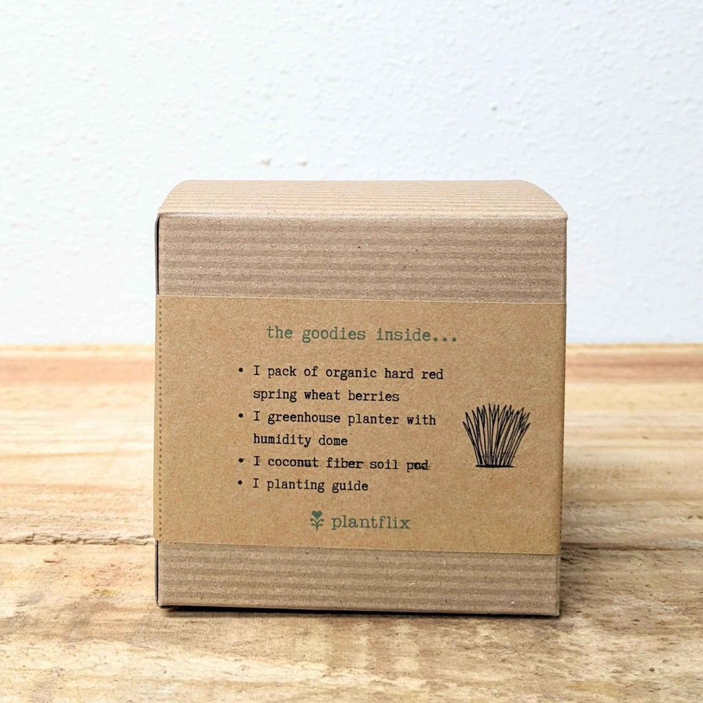 Organic Petgrass Grow Kit, view 5