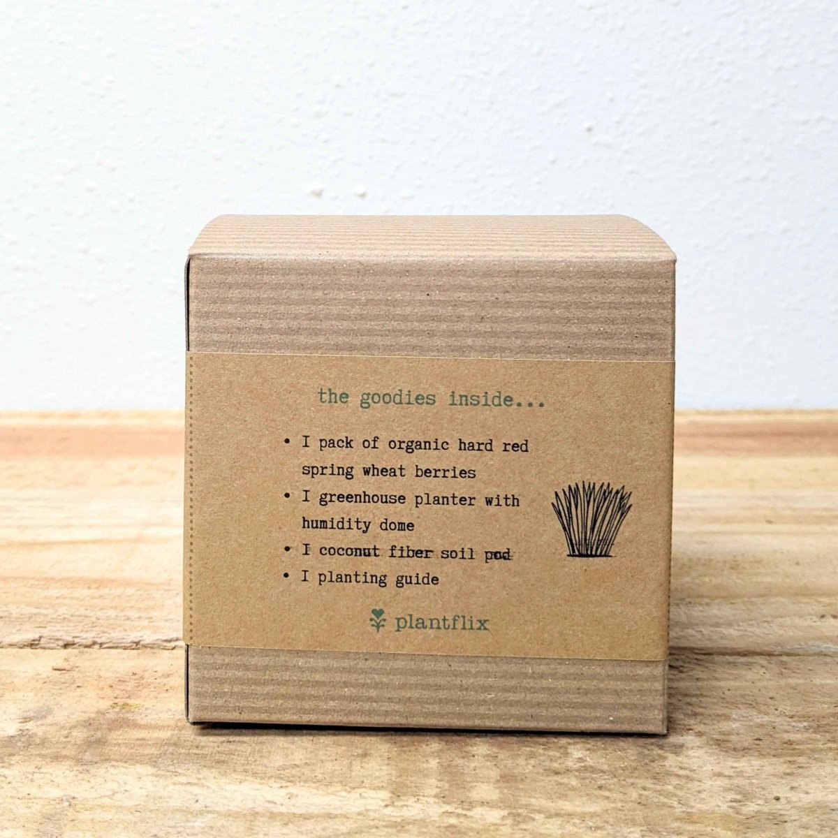 Organic Petgrass Grow Kit, view 5