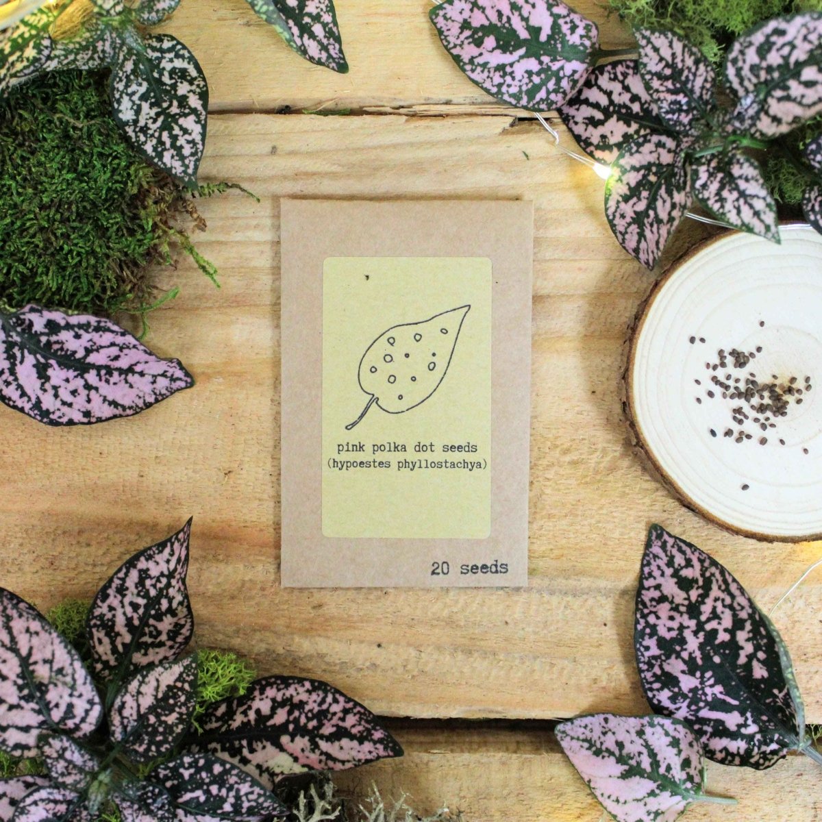 "Pet-Friendly" Houseplant Seed Collection, view 2