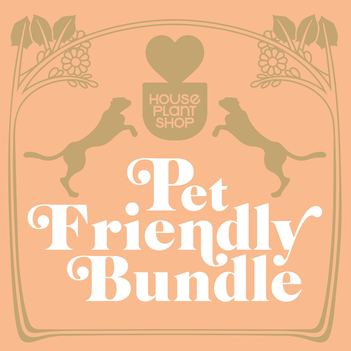 Pet-friendly houseplant bundle, view 2