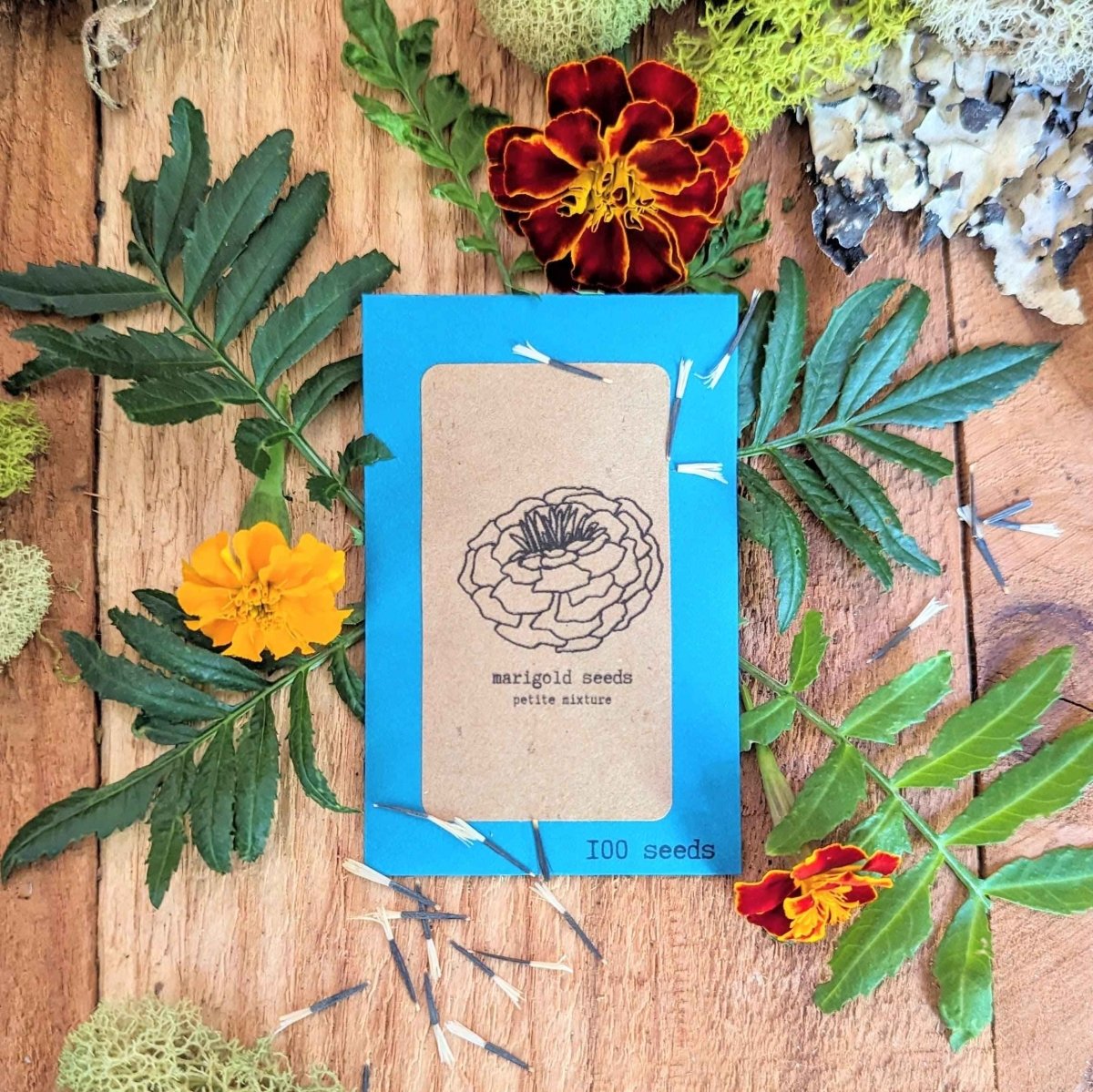 Petite Marigold Seeds, view 2