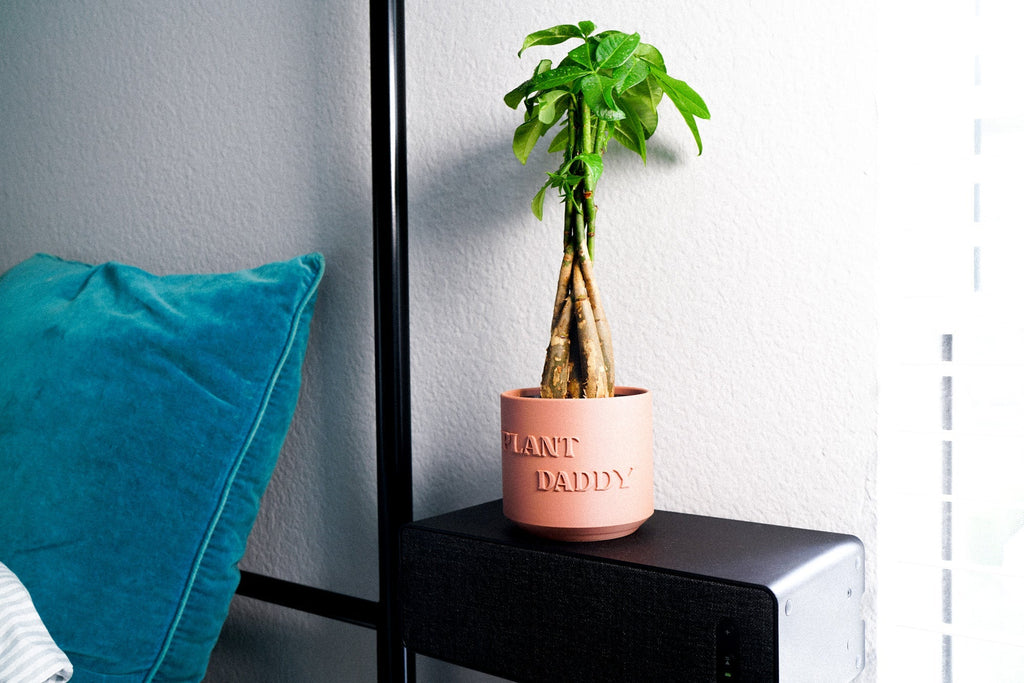 Plant Daddy Planter, view 7