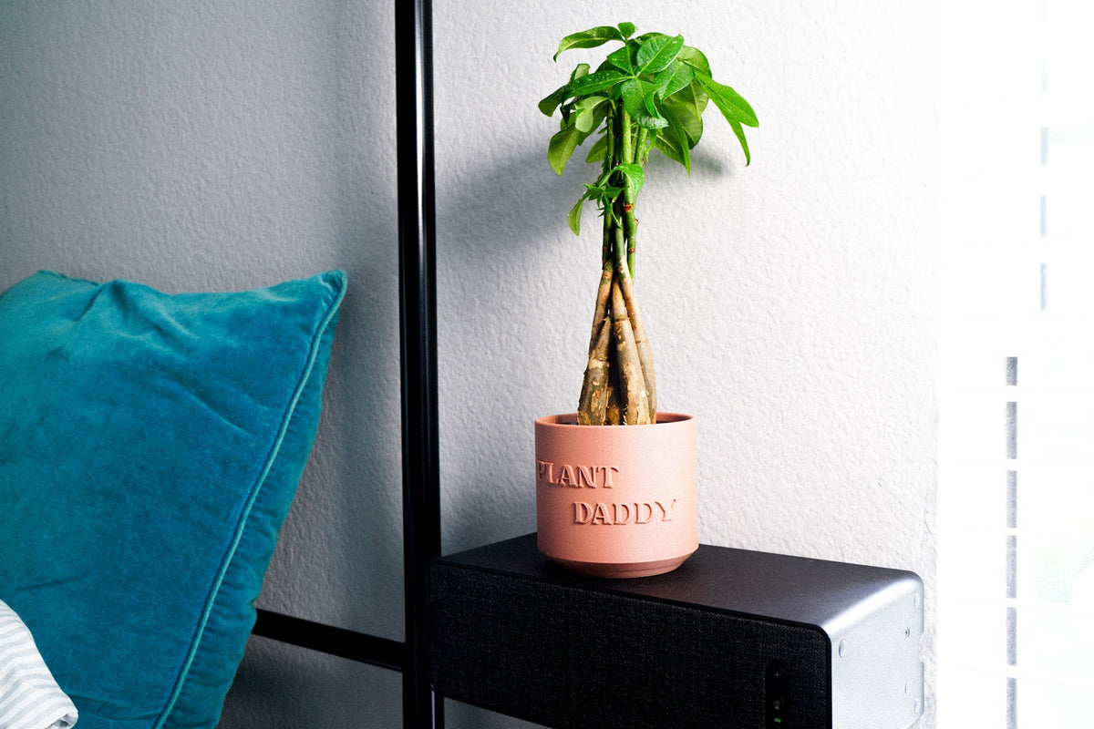 Plant Daddy Planter, view 7