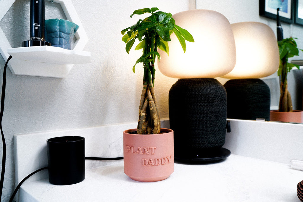 Plant Daddy Planter, view 3