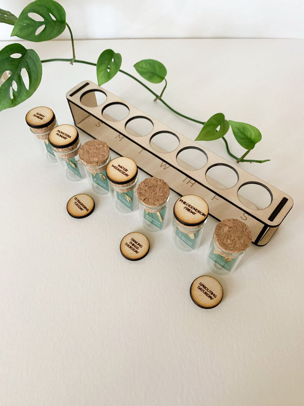 Custom Etched Propagation Stand + 3 Set Tiny Houseplant Earring Studs, view 13