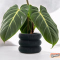 Ribbed Bubble Plant Pot With Drainage and Saucer, view 4