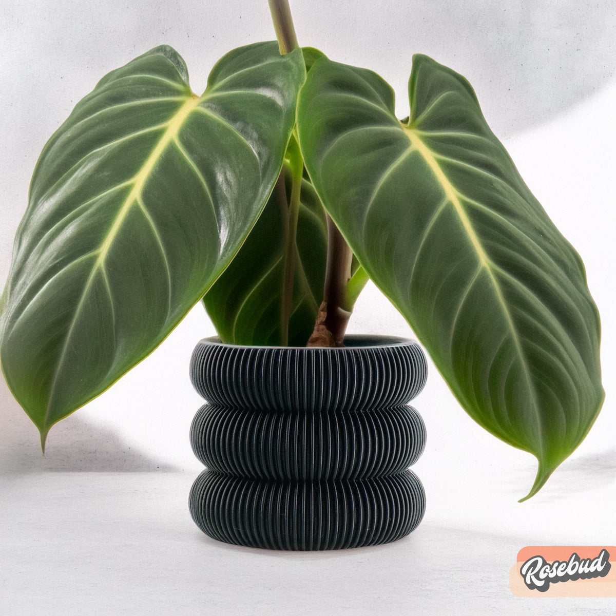 Ribbed Bubble Plant Pot With Drainage and Saucer, view 4