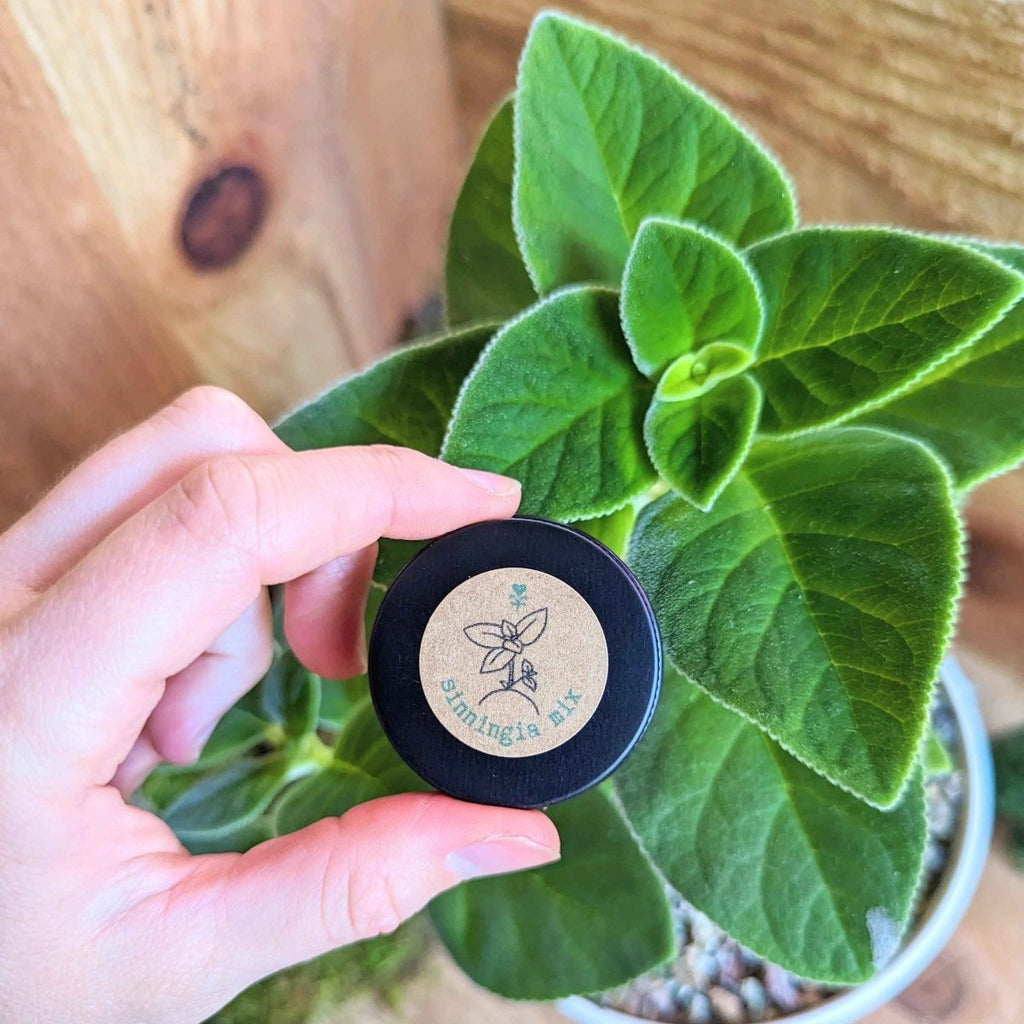 Sinningia Mix "Gloxinia" Seeds, view 14