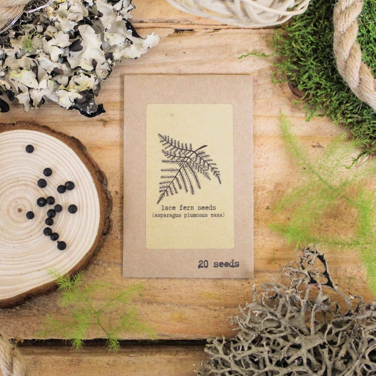 "The Popular Kids" Houseplant Seed Collection, view 4