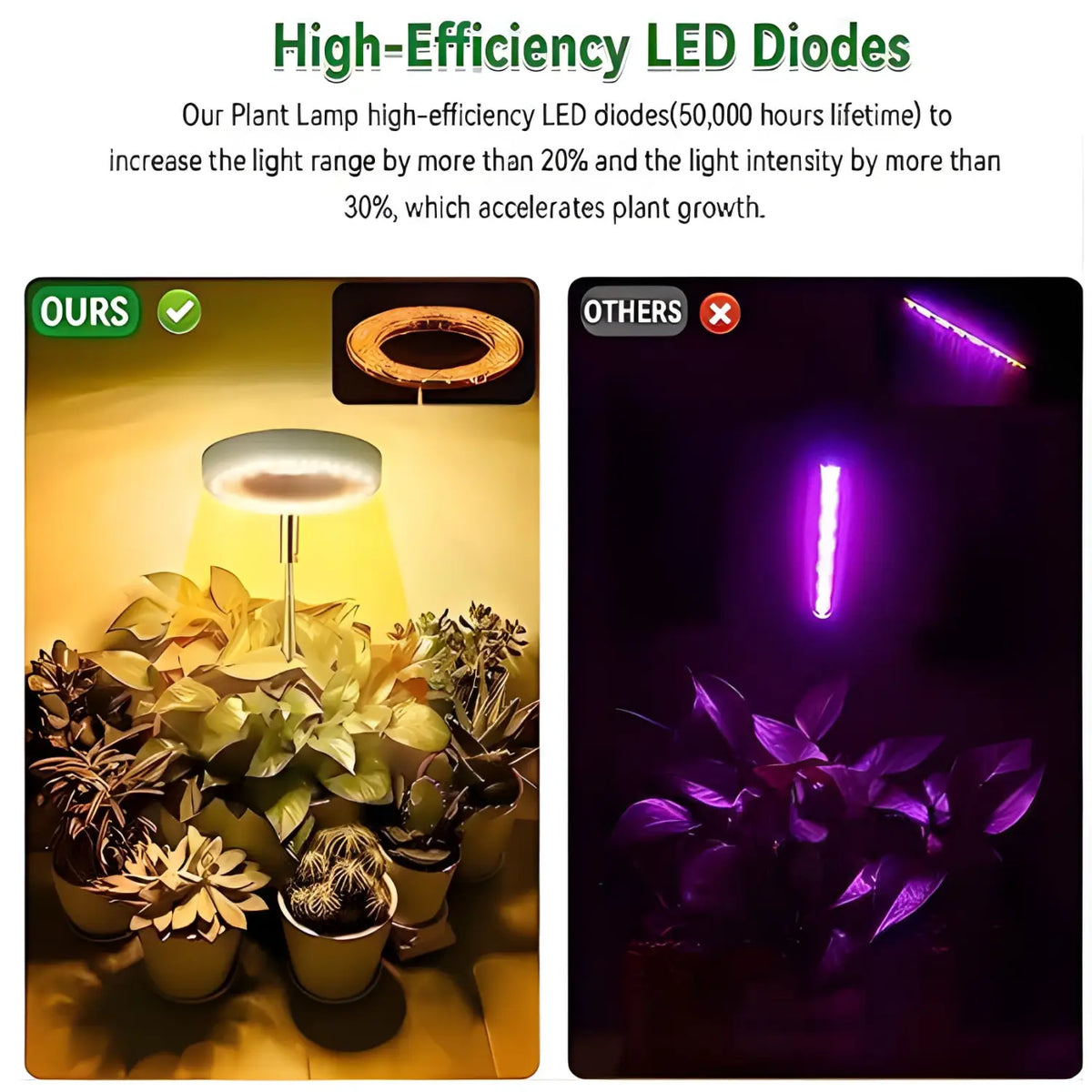 Timing Dimming Plant Grow Light for Succulent Bonsai Plants, view 4