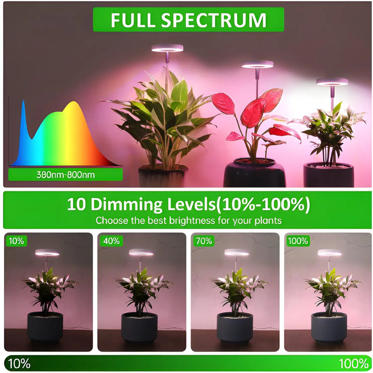 Timing Dimming Plant Grow Light for Succulent Bonsai Plants, view 5