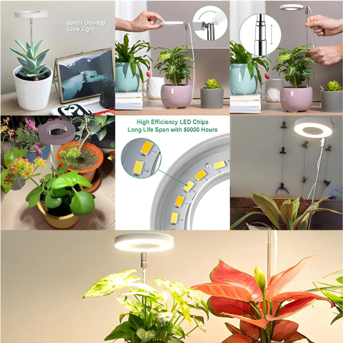 Timing Dimming Plant Grow Light for Succulent Bonsai Plants, view 6
