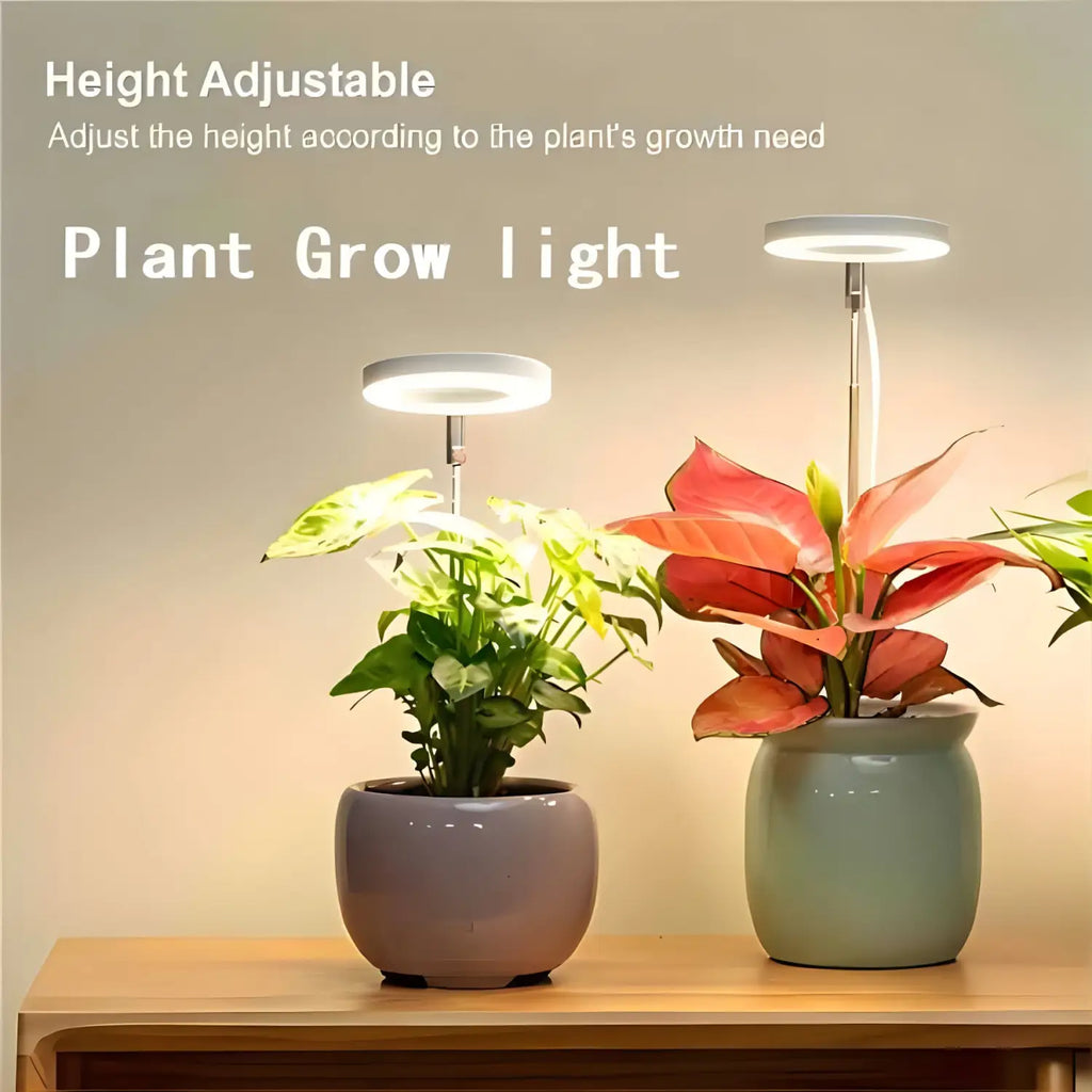 Timing Dimming Plant Grow Light for Succulent Bonsai Plants, view 2