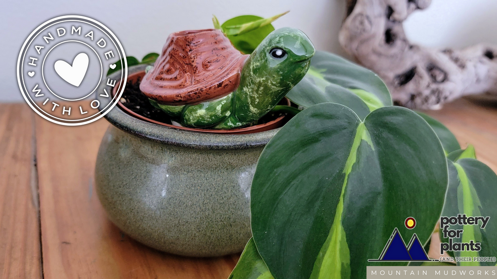 Turtle Plant Watering Spike, view 5